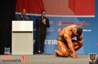 Nordic Pro - 2013