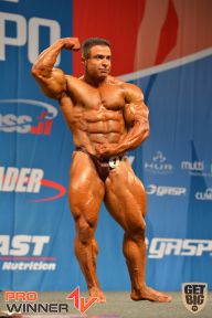 Nordic Pro - 2013