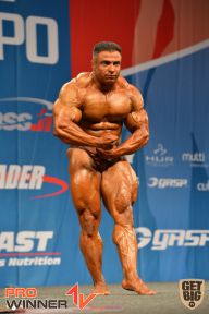 Nordic Pro - 2013