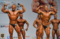 Чемпионат России по бодибилдингу - 2014