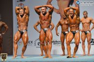 Чемпионат России по бодибилдингу - 2014