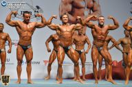 Чемпионат России по бодибилдингу - 2014