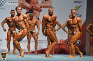 Чемпионат России по бодибилдингу - 2014