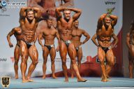 Чемпионат России по бодибилдингу - 2014