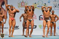 Чемпионат России по бодибилдингу - 2014