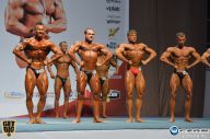 Чемпионат России по бодибилдингу - 2014