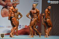 Чемпионат России по бодибилдингу - 2014