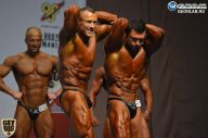 Чемпионат России по бодибилдингу - 2014