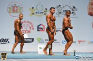 Чемпионат России по бодибилдингу - 2014