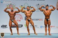 Чемпионат России по бодибилдингу - 2014