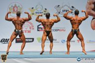 Чемпионат России по бодибилдингу - 2014