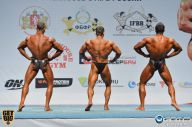 Чемпионат России по бодибилдингу - 2014