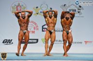 Чемпионат России по бодибилдингу - 2014