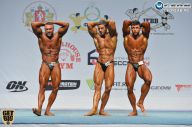 Чемпионат России по бодибилдингу - 2014
