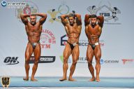 Чемпионат России по бодибилдингу - 2014
