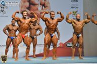 Чемпионат России по бодибилдингу - 2014