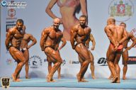 Чемпионат России по бодибилдингу - 2014