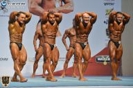 Чемпионат России по бодибилдингу - 2014