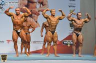 Чемпионат России по бодибилдингу - 2014