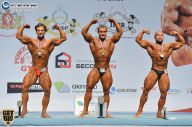 Чемпионат России по бодибилдингу - 2014
