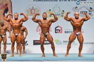 Чемпионат России по бодибилдингу - 2014