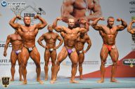 Чемпионат России по бодибилдингу - 2014
