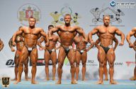 Чемпионат России по бодибилдингу - 2014