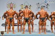 Чемпионат России по бодибилдингу - 2014