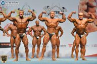 Чемпионат России по бодибилдингу - 2014