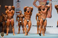 Чемпионат России по бодибилдингу - 2014