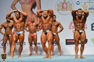 Чемпионат России по бодибилдингу - 2014