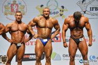 Чемпионат России по бодибилдингу - 2014