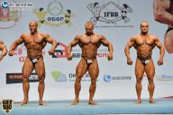 Чемпионат России по бодибилдингу - 2014