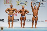 Чемпионат России по бодибилдингу - 2014