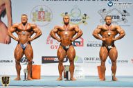Чемпионат России по бодибилдингу - 2014