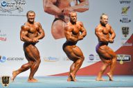 Чемпионат России по бодибилдингу - 2014