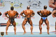 Чемпионат России по бодибилдингу - 2014
