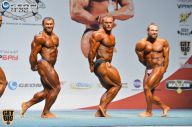 Чемпионат России по бодибилдингу - 2014