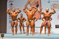 Чемпионат России по бодибилдингу - 2014