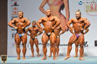 Чемпионат России по бодибилдингу - 2014