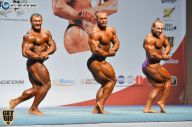 Чемпионат России по бодибилдингу - 2014