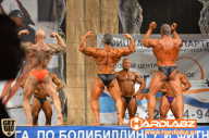 Кубок Санкт-Петербурга по бодибилдингу - 2014