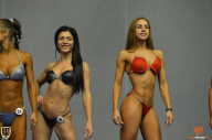 Grand Prix Fitness House Pro - 2014
