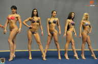 Grand Prix Fitness House Pro - 2014
