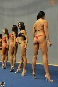 Grand Prix Fitness House Pro - 2014
