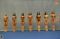 Grand Prix Fitness House Pro - 2014