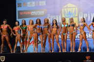 Grand Prix Fitness House Pro - 2014