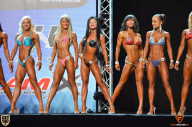 Grand Prix Fitness House Pro - 2014