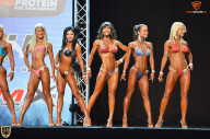 Grand Prix Fitness House Pro - 2014