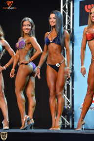 Grand Prix Fitness House Pro - 2014
